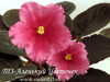Фиалка Т3-Аленький Цветочек