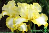 Bertwistle