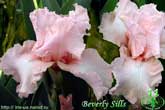 Beverly Sills