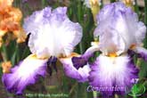 Conjuration