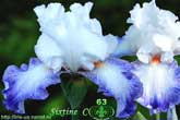 Sixstine C