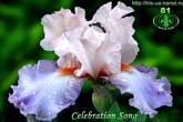 Celebration Song