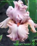 Natural Charm
