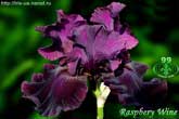 Raspbery Wine