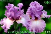 Fashion Statement