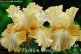Fashion Designer