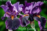 Night Game