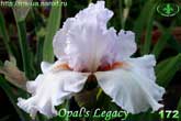  Opal's Legacy