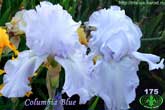 Columbia Blue