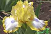 Easter