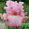 Desighner Label