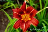 Red Magic