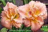 Siloam Double Classic
