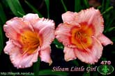 Siloam Little Girl