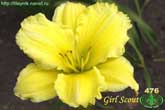 Girl Scout