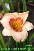 Siloam Ethel Smith