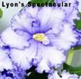 Lyons Spectacular 