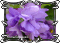 ЛЕ- Колыбельная