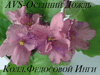 Фиалка AVS-Осенний Дождь