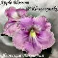  Aplle Blossom