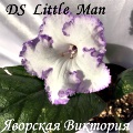  DS-Little Man, 2004