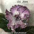 Стрептокарпус DS 2006