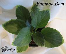 Хирита Bamboo Boat