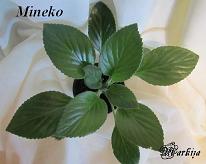 Хирита Mineko