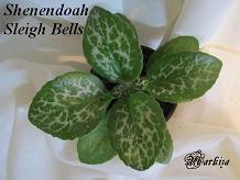 Хирита Shenendoah Sleigh Bells
