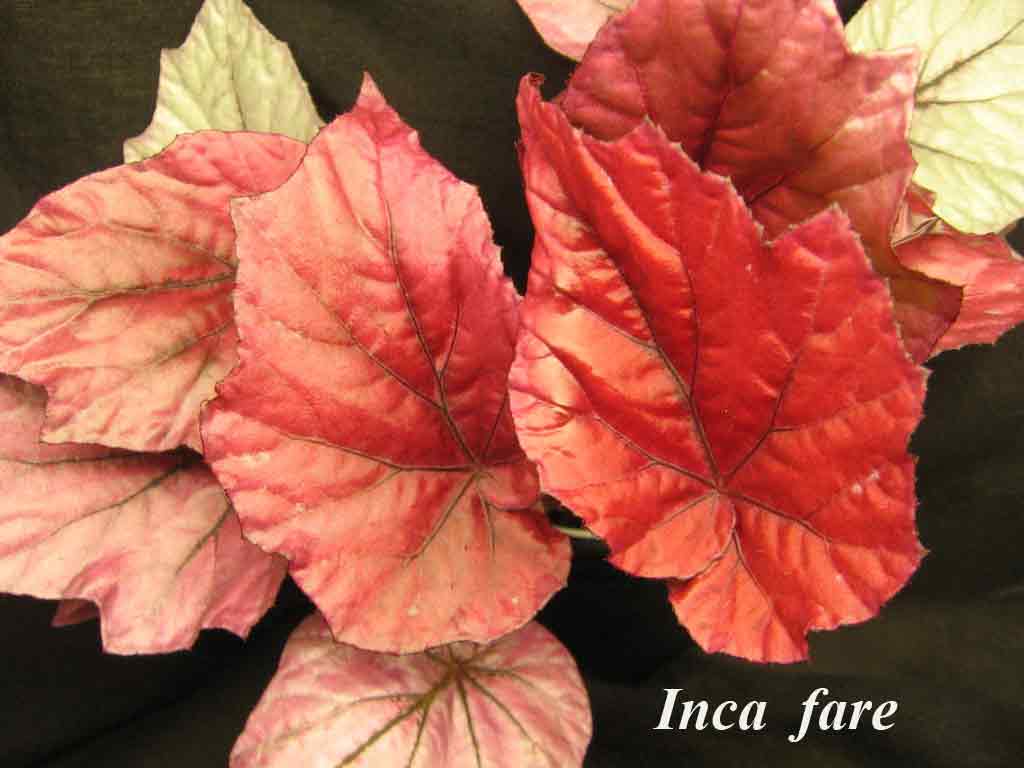  Inca  fare 