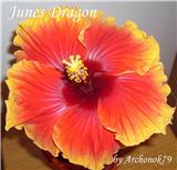 June's Dragon