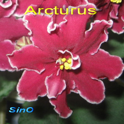  Arcturus 