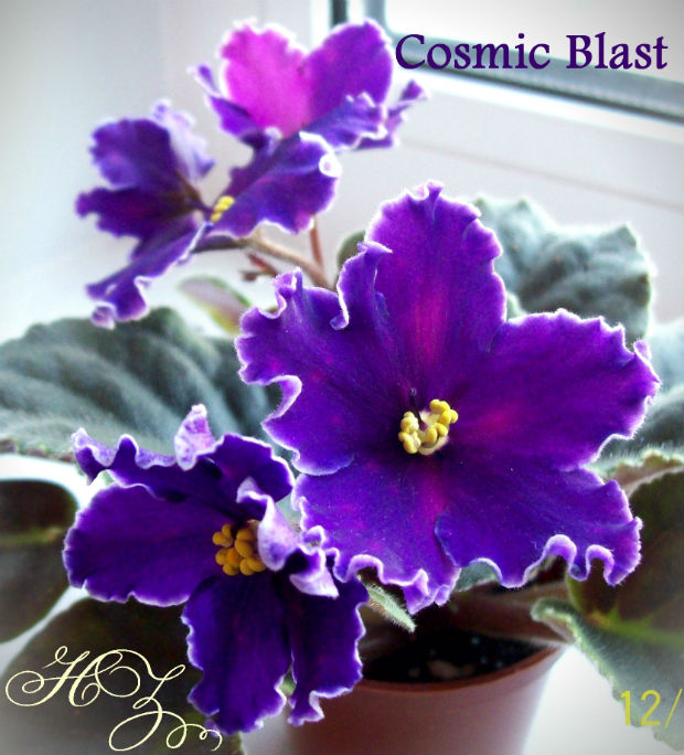  Cosmic Blast 