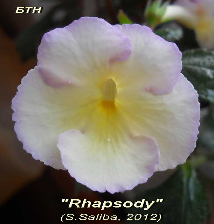  Rhapsody 