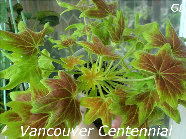  Vancouver Centennial 