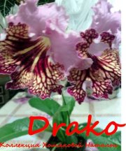  Drako 6051