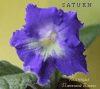  Saturn