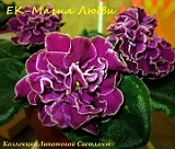 Фиалка ЕК-Магия Любви