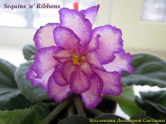 Фиалка Sequins ’n’ Ribbons