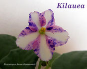  Kilauea
