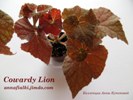 Бегония Cowardy Lion