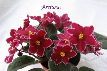 Arcturus 