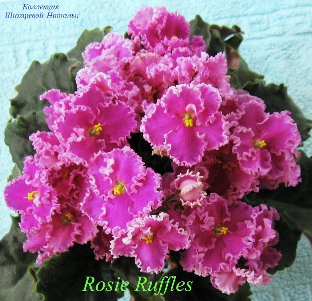  Rosie Ruffles 