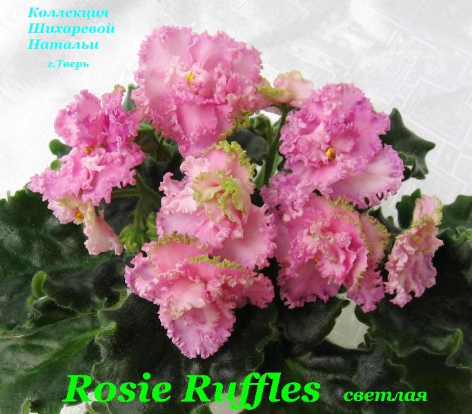  Rosie Ruffles (Light) 