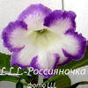 Глоксиния LLL-Россияночка