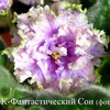 Фиалка ЕК-Фантастический Сон