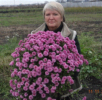 Новикова Валентина Викторовна