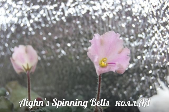  Ajohn's Spinning Bells 