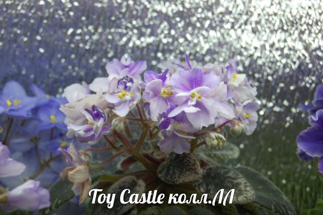  Toy Castle 