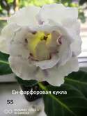 Глоксиния Ен-фарфоровая кукла